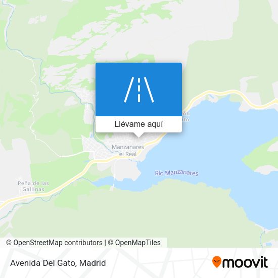 Mapa Avenida Del Gato