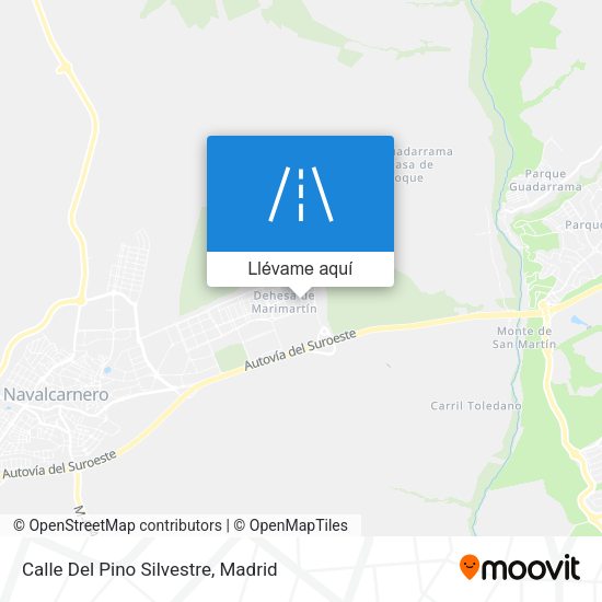 Mapa Calle Del Pino Silvestre