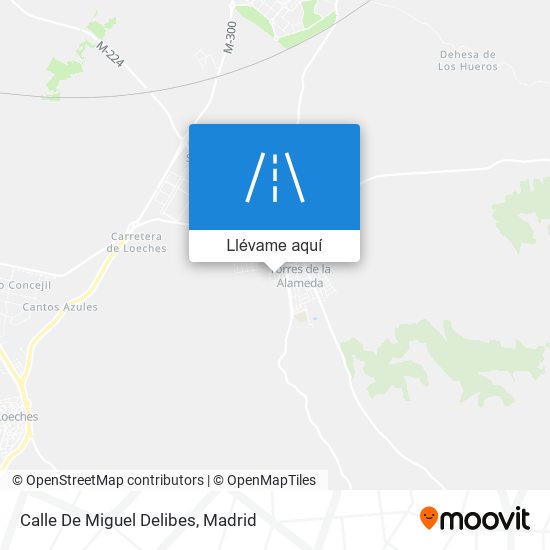 Mapa Calle De Miguel Delibes