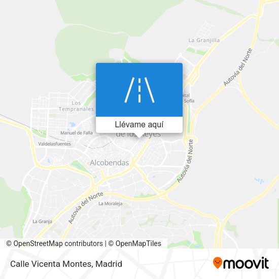 Mapa Calle Vicenta Montes