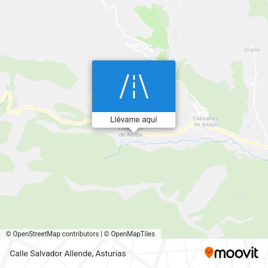Mapa Calle Salvador Allende
