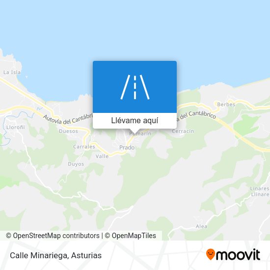 Mapa Calle Minariega