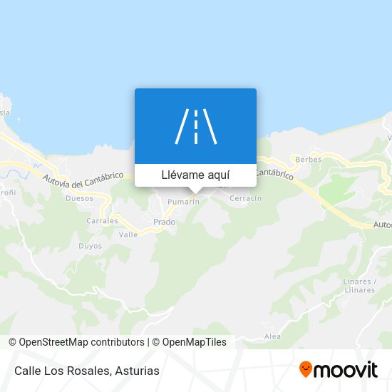 Mapa Calle Los Rosales