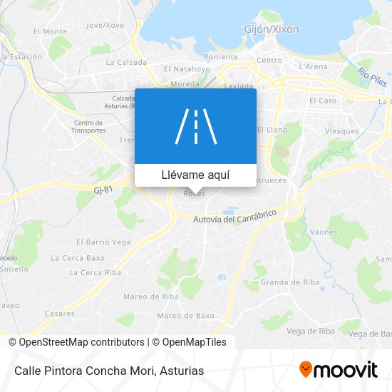 Mapa Calle Pintora Concha Mori