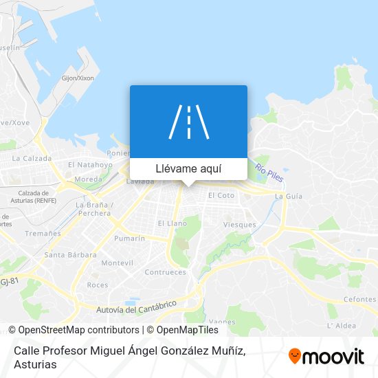 Mapa Calle Profesor Miguel Ángel González Muñíz