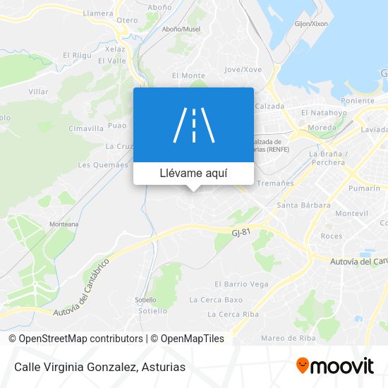 Mapa Calle Virginia Gonzalez