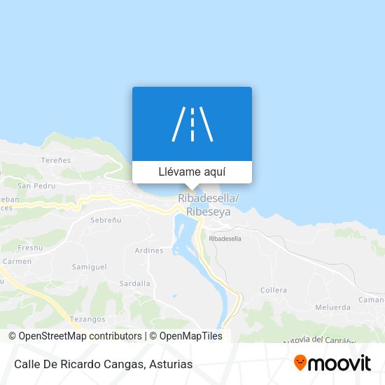 Mapa Calle De Ricardo Cangas