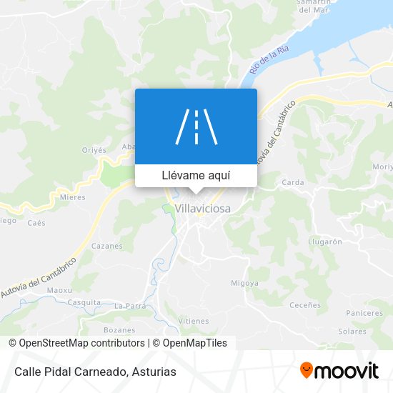 Mapa Calle Pidal Carneado
