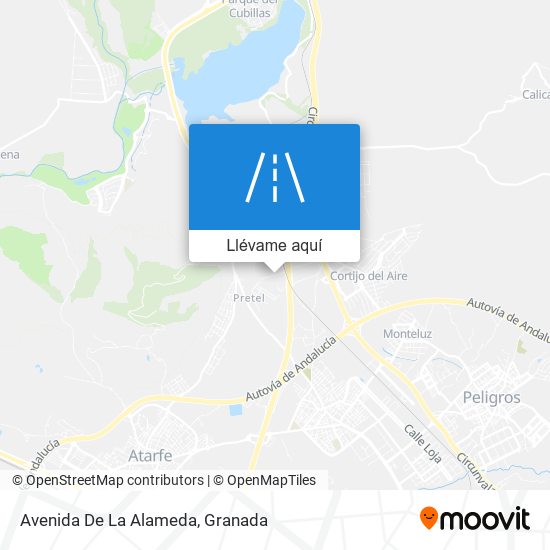 Mapa Avenida De La Alameda