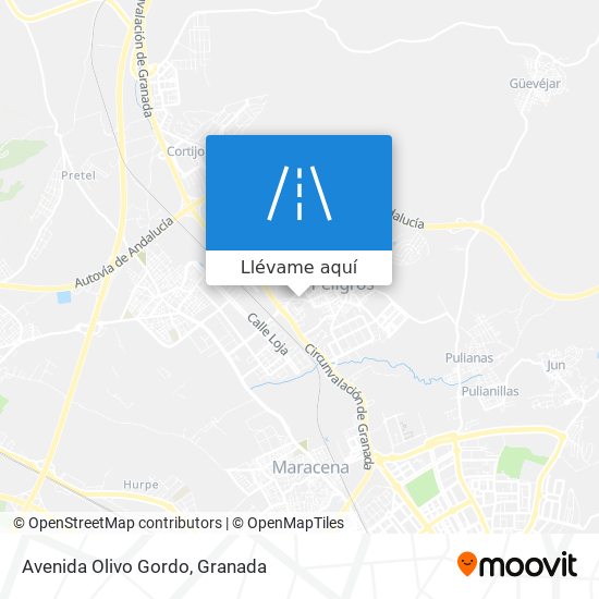 Mapa Avenida Olivo Gordo