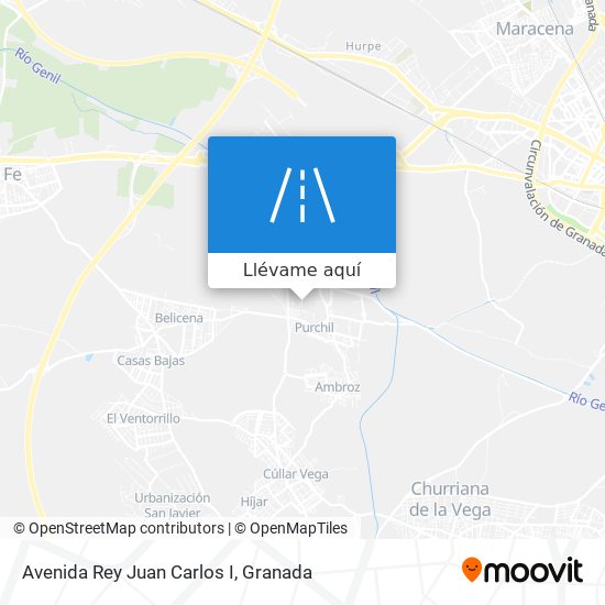 Mapa Avenida Rey Juan Carlos I