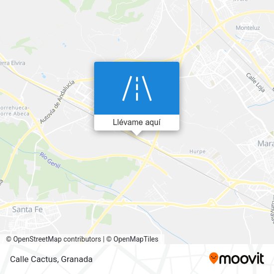 Mapa Calle Cactus