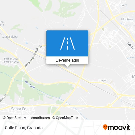Mapa Calle Ficus