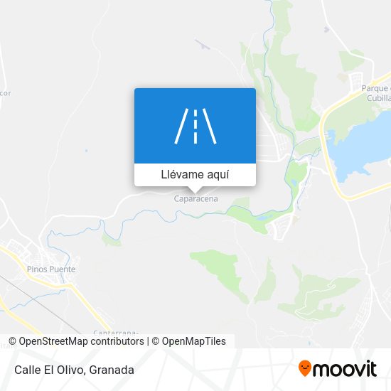 Mapa Calle El Olivo