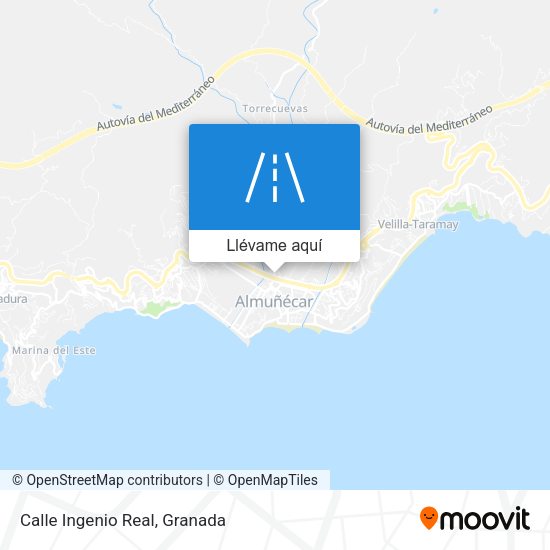 Mapa Calle Ingenio Real