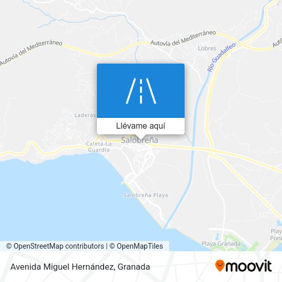 Mapa Avenida Miguel Hernández