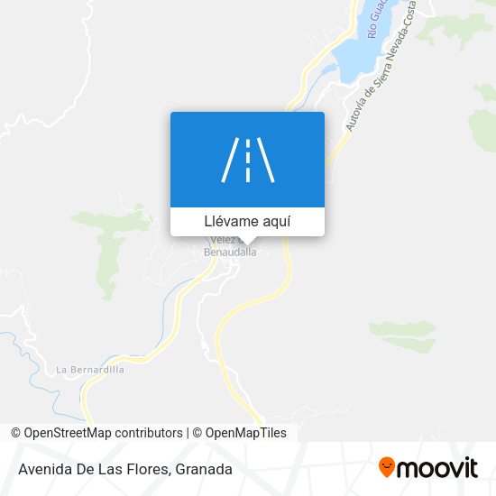 Mapa Avenida De Las Flores