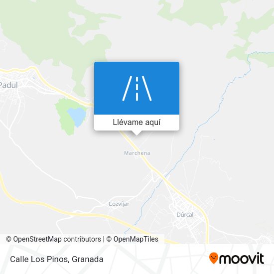 Mapa Calle Los Pinos