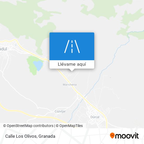 Mapa Calle Los Olivos