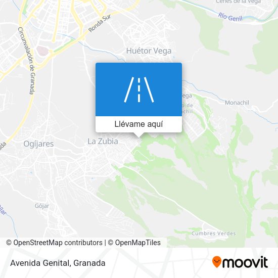 Mapa Avenida Genital
