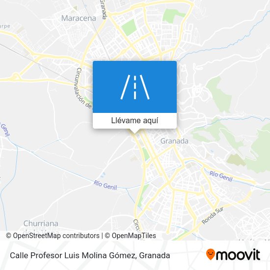 Mapa Calle Profesor Luis Molina Gómez