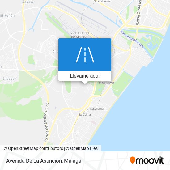 Mapa Avenida De La Asunción