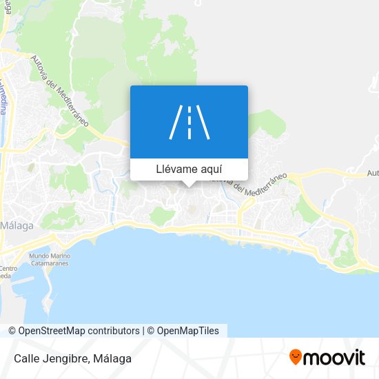 Mapa Calle Jengibre
