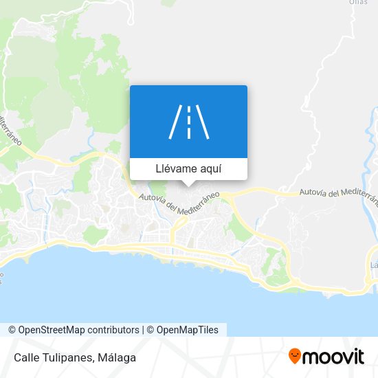 Mapa Calle Tulipanes