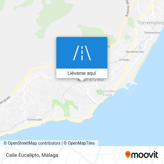 Mapa Calle Eucalipto