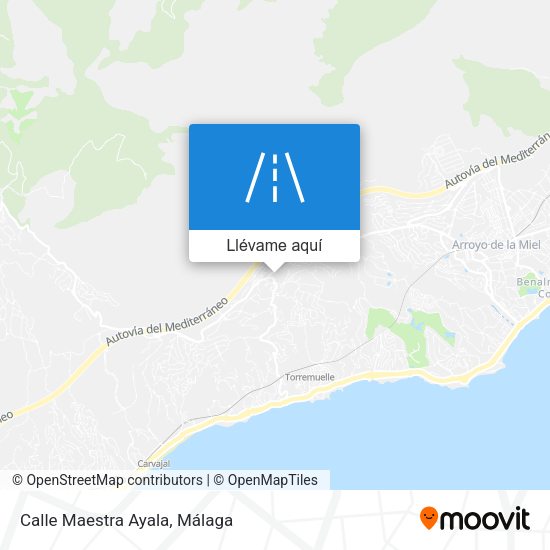 Mapa Calle Maestra Ayala