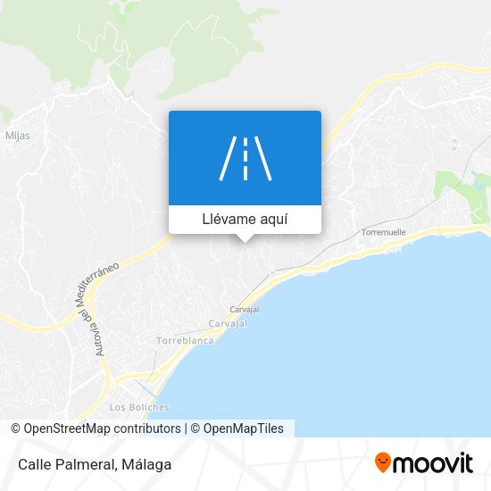 Mapa Calle Palmeral