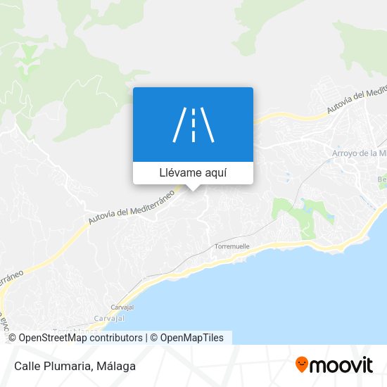 Mapa Calle Plumaria