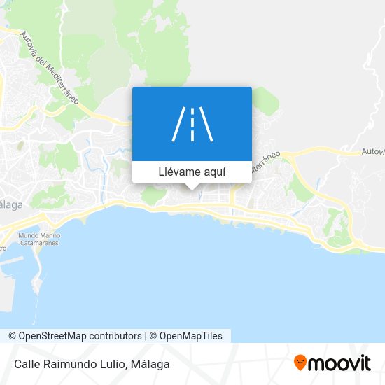 Mapa Calle Raimundo Lulio