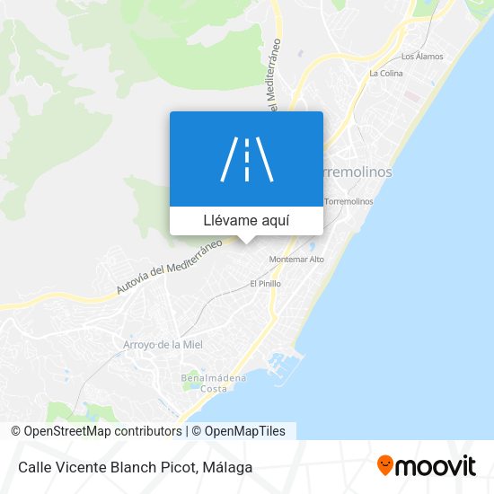 Mapa Calle Vicente Blanch Picot