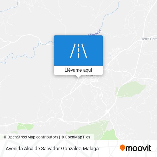 Mapa Avenida Alcalde Salvador González