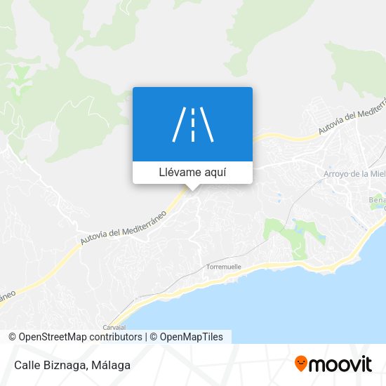 Mapa Calle Biznaga