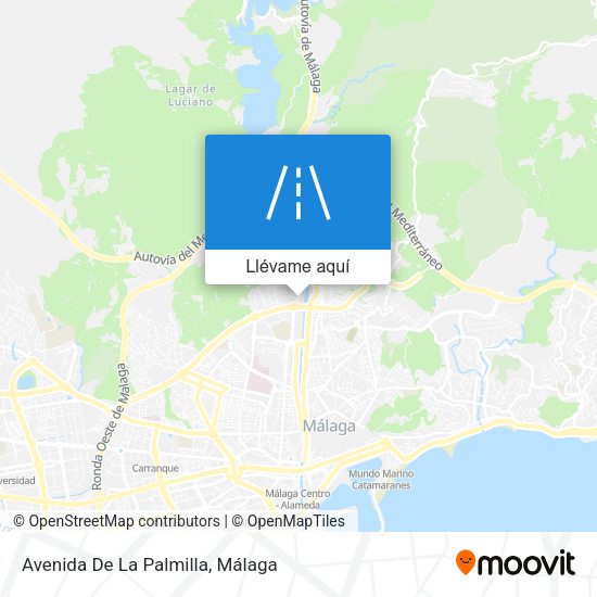 Mapa Avenida De La Palmilla
