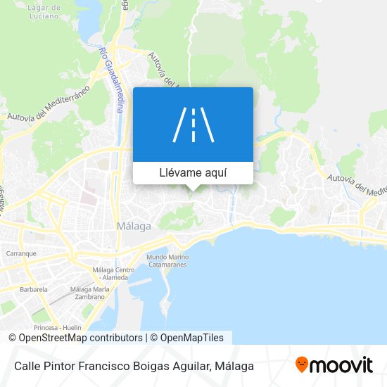 Mapa Calle Pintor Francisco Boigas Aguilar