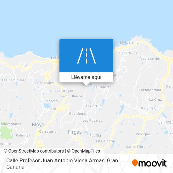 Mapa Calle Profesor Juan Antonio Viena Armas