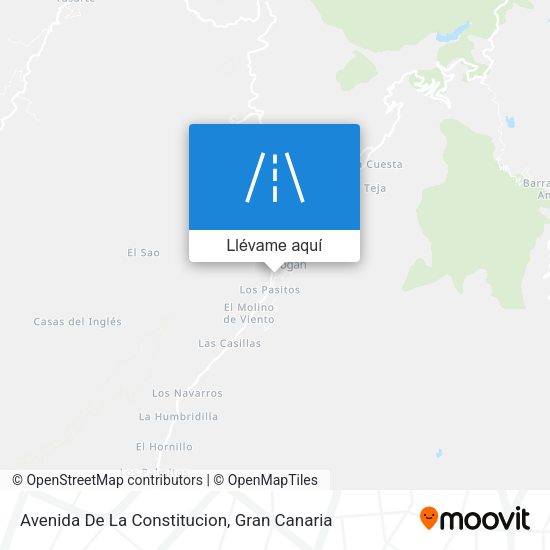 Mapa Avenida De La Constitucion