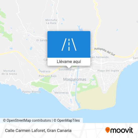 Mapa Calle Carmen Laforet