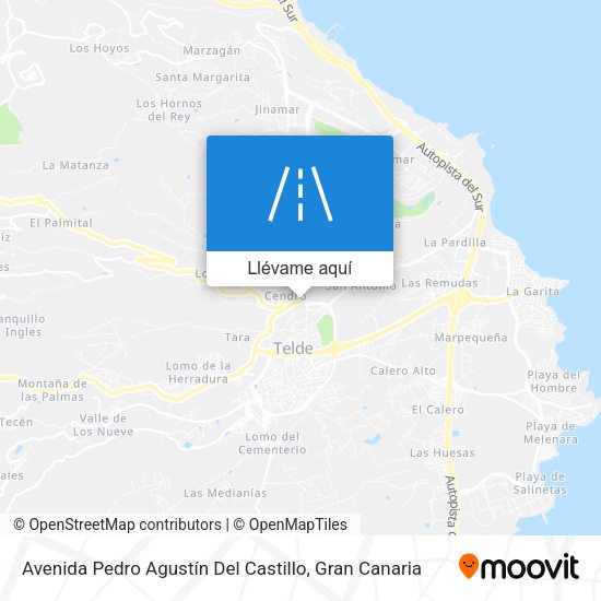 Mapa Avenida Pedro Agustín Del Castillo