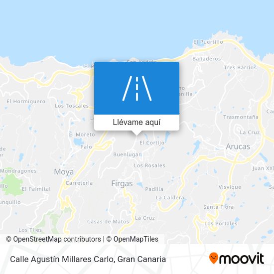 Mapa Calle Agustín Millares Carlo