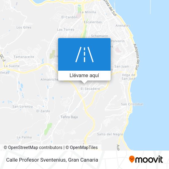 Mapa Calle Profesor Sventenius