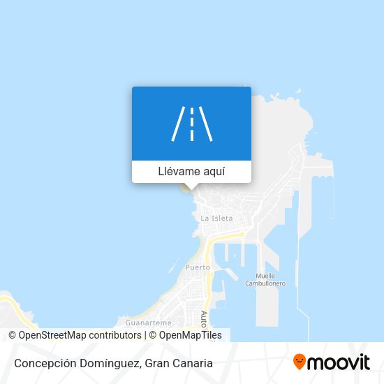 Mapa Concepción Domínguez