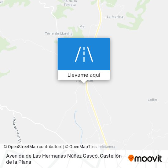 Mapa Avenida de Las Hermanas Núñez Gascó