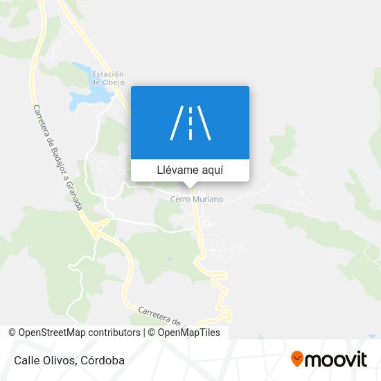 Mapa Calle Olivos