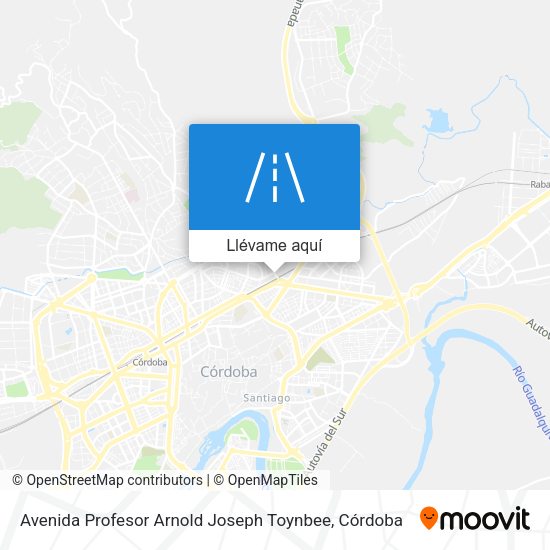 Mapa Avenida Profesor Arnold Joseph Toynbee