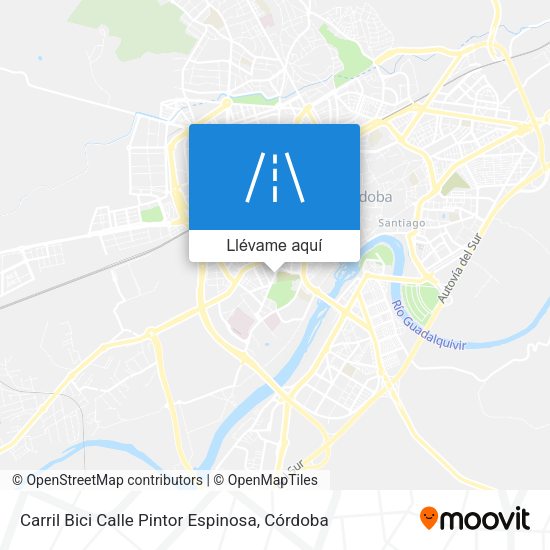 Mapa Carril Bici Calle Pintor Espinosa