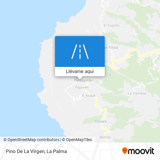 Mapa Pino De La Virgen